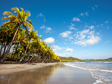 Palmenstrand von Samara an der Pazifikküste Costa Ricas, ideal zum Entspannen und für Aktivitäten nach dem Unterricht.