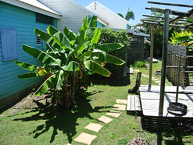 Garten II Bungalow, Sprachreisen Französisch