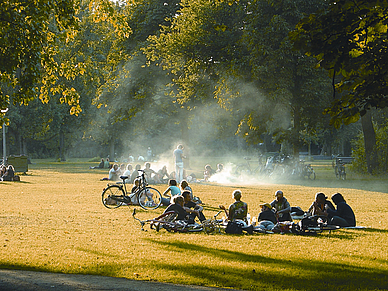 Park, Niederländisch Sprachreisen für Erwachsene