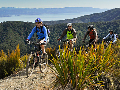 Sprachschüler beim Mountainbiken in der Natur Neuseelands, Teil der Freizeitaktivitäten der Nelson English Centre Sprachschule.
