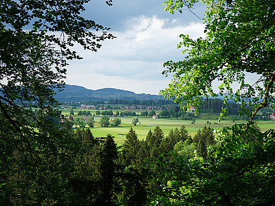 Panoramablick auf die Natur rund um Bad Schussenried – entspannte und sichere Umgebung für Deutsch Schülersprachreisen in Deutschland.
