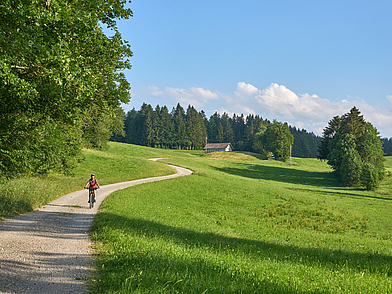 Radfahren auf Waldwegen um Bad Schussenried als aktive Freizeitmöglichkeiten während einer Deutsch Sprachreise für Jugendliche.