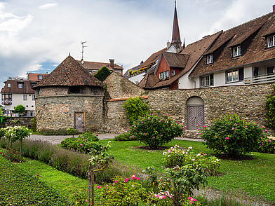 Historische Anlagen und Gärten in Radolfzell am Bodensee bieten ein charmantes Umfeld für Schüler, die während einer Deutsch Sprachreise Kultur und Sprache erleben möchten.
