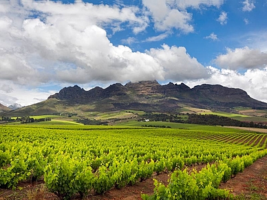 Apprendre l'anglais en Afrique du Sud - Séjours linguistiques pour adultes et étudiants