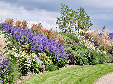 Sprachreisen Niederländisch