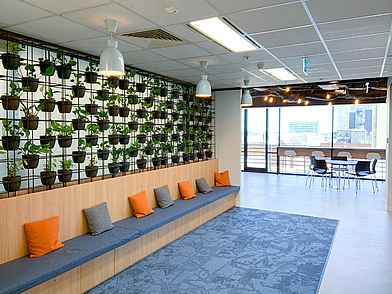 Gemütlicher Loungebereich der ILSC Adelaide mit großer Pflanzenwand – Treffpunkt für Sprachschüler zwischen den Englischlektionen.