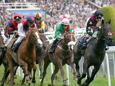 Pferderennen in Chester, Business Englisch Sprachreisen England