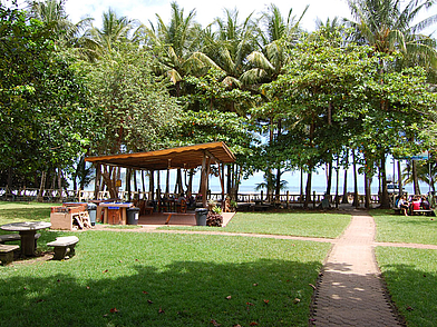 Überdachter Aufenthaltsbereich der Intercultura Sprachschule Sámara, direkt am Strand unter Palmen gelegen.