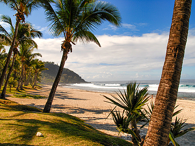 Palmenstrand bei Saint-Paul auf La Réunion mit goldenem Sand und Blick auf den Indischen Ozean, perfekte Mischung aus Französisch lernen und Entspannung am Meer.